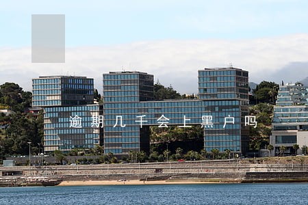 逾期几千会上黑户吗 逾期几千会上黑户吗
