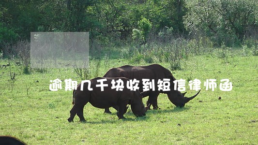 逾期几千块收到短信律师函 逾期几千块收到短信律师函