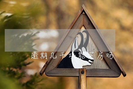 逾期几千块能买房吗