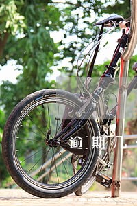 逾期几千块说上失信人 逾期几千块说上失信人