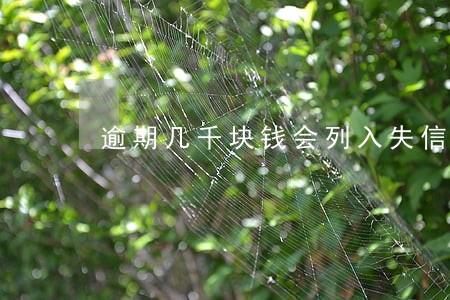 逾期几千块钱会列入失信人吗 逾期几千块钱会列入失信人吗