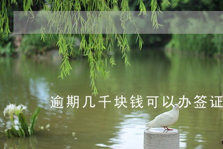 逾期几千块钱可以办签证吗 逾期几千块钱可以办签证吗