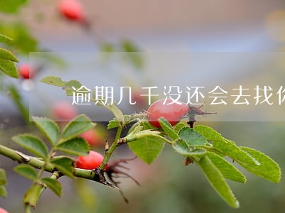 逾期几千没还会去找你家人吗 逾期几千没还会去找你家人吗