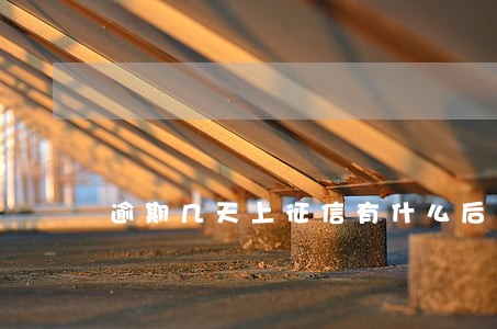逾期几天上征信有什么后果 逾期几天上征信有什么后果
