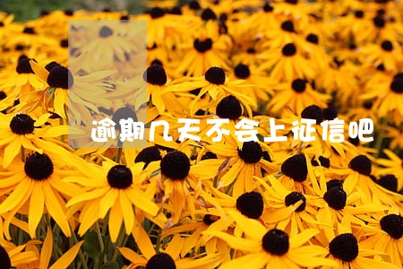 逾期几天不会上征信吧