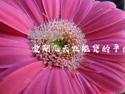 逾期几天也能贷的平台 逾期几天也能贷的平台