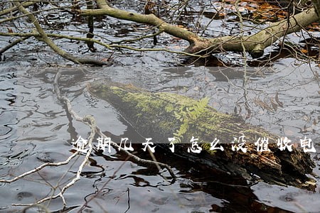 逾期几天了怎么没催收电话 逾期几天了怎么没催收电话