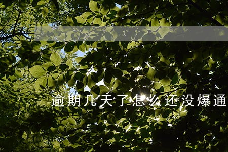逾期几天了怎么还没爆通讯录 逾期几天了怎么还没爆通讯录
