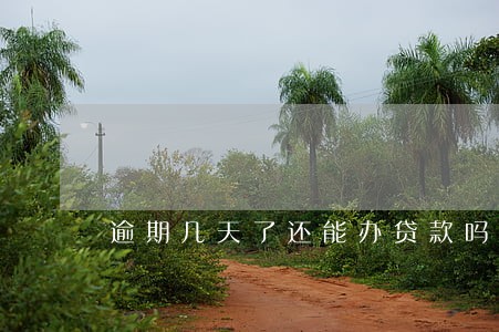 逾期几天了还能办贷款吗 逾期几天了还能办贷款吗