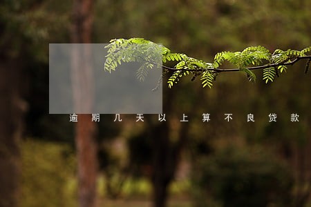 逾期几天以上算不良贷款 逾期几天以上算不良贷款