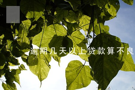 逾期几天以上贷款算不良 逾期几天以上贷款算不良