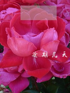 逾期几天会上个人征信网贷 逾期几天会上个人征信网贷