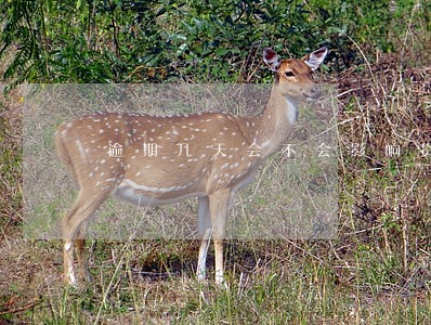 逾期几天会不会影响贷款
