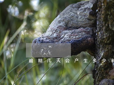 逾期几天会产生多少利息 逾期几天会产生多少利息