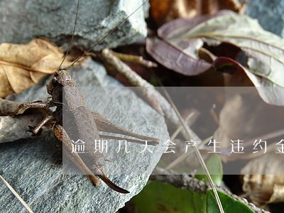 逾期几天会产生违约金 逾期几天会产生违约金