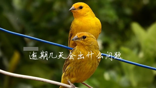 逾期几天会出什么问题 逾期几天会出什么问题