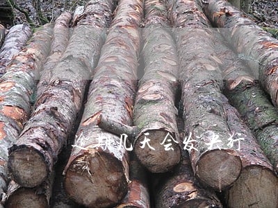 逾期几天会发央行 逾期几天会发央行
