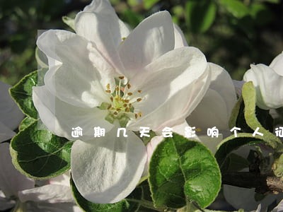 逾期几天会影响个人征信 逾期几天会影响个人征信