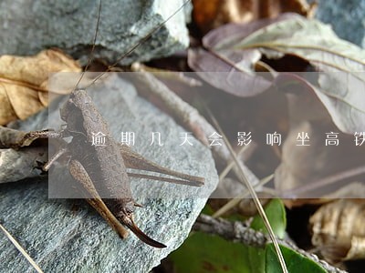 逾期几天会影响坐高铁不