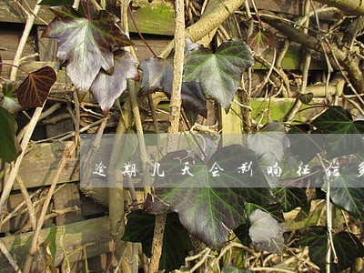 逾期几天会影响征信多久消除 逾期几天会影响征信多久消除