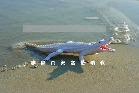 逾期几天会影响我