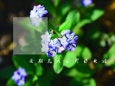 逾期几天会打你电话 逾期几天会打你电话
