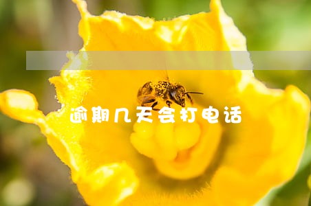 逾期几天会打电话