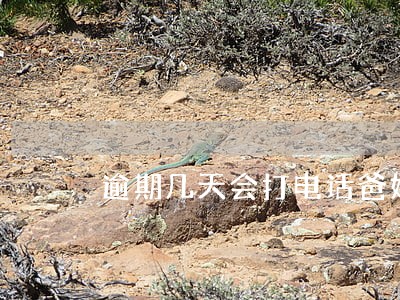 逾期几天会打电话爸妈 逾期几天会打电话爸妈