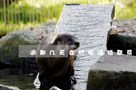 逾期几天会打电话给联系人 逾期几天会打电话给联系人