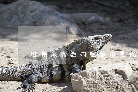 逾期几天会打电话给通讯录的人啊 逾期几天会打电话给通讯录的人啊
