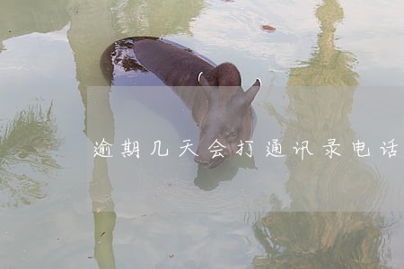 逾期几天会打通讯录电话 逾期几天会打通讯录电话