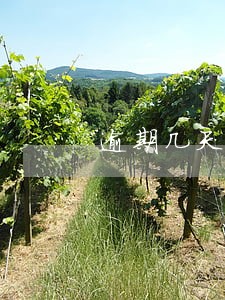 逾期几天会提醒 逾期几天会提醒