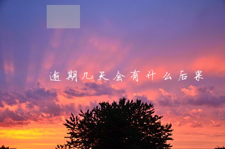 逾期几天会有什么后果 逾期几天会有什么后果