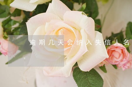 逾期几天会纳入失信人名单吗 逾期几天会纳入失信人名单吗