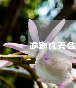 逾期几天会给紧急联系人打电话 逾期几天会给紧急联系人打电话