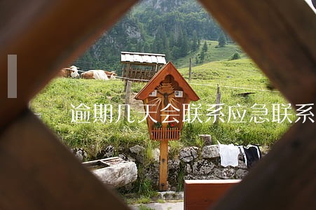 逾期几天会联系应急联系人 逾期几天会联系应急联系人