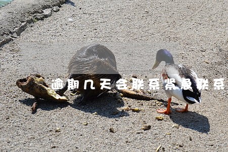 逾期几天会联系紧急联系人 逾期几天会联系紧急联系人
