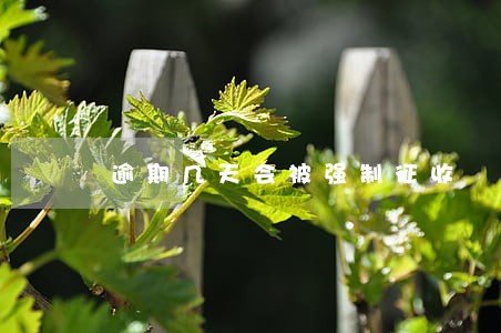 逾期几天会被强制征收 逾期几天会被强制征收
