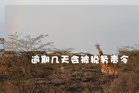 逾期几天会被税务责令 逾期几天会被税务责令