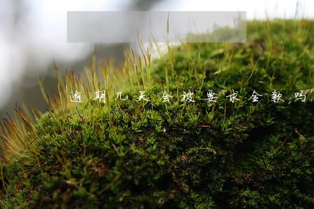逾期几天会被要求全款吗 逾期几天会被要求全款吗
