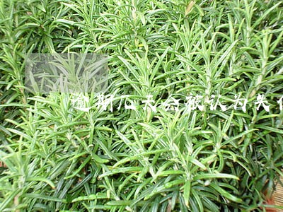 逾期几天会被认为失信 逾期几天会被认为失信
