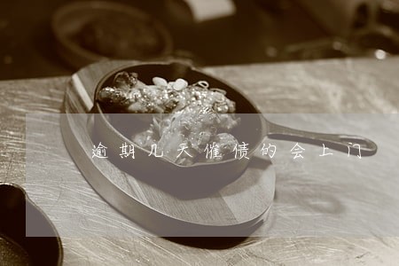 逾期几天催债的会上门