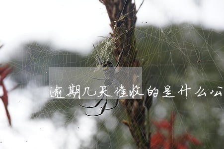 逾期几天催收的是什么公司 逾期几天催收的是什么公司