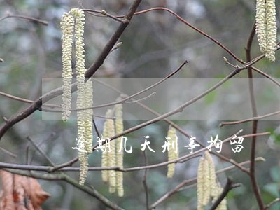逾期几天刑事拘留 逾期几天刑事拘留