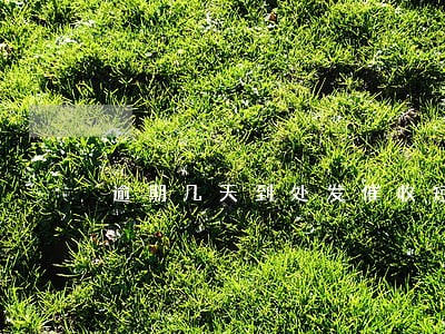 逾期几天到处发催收短信合法吗 逾期几天到处发催收短信合法吗