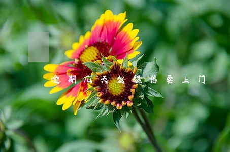 逾期几天发短信要上门 逾期几天发短信要上门