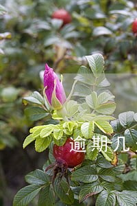 逾期几天后上报征信 逾期几天后上报征信