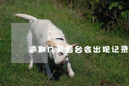 逾期几天后台会出现记录 逾期几天后台会出现记录
