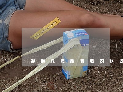 逾期几天后有钱可以还一部分吗 逾期几天后有钱可以还一部分吗