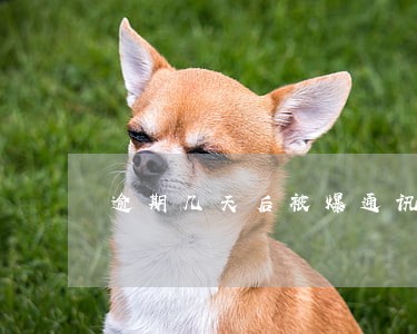 逾期几天后被爆通讯录 逾期几天后被爆通讯录